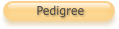 Pedigree