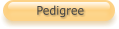 Pedigree
