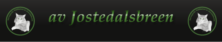 av Jostedalsbreen