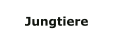 Jungtiere