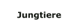 Jungtiere