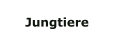 Jungtiere