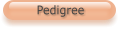 Pedigree