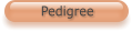 Pedigree