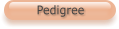 Pedigree