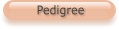 Pedigree