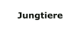 Jungtiere