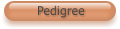 Pedigree