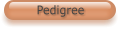 Pedigree