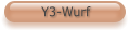 Y3-Wurf