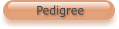 Pedigree