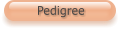 Pedigree