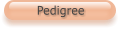 Pedigree