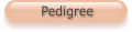 Pedigree