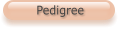 Pedigree