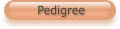 Pedigree