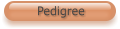 Pedigree