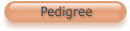 Pedigree