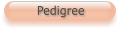 Pedigree