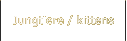 Jungtiere / kittens
