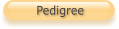 Pedigree