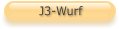J3-Wurf