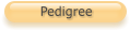 Pedigree