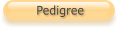 Pedigree