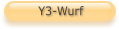 Y3-Wurf