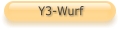 Y3-Wurf